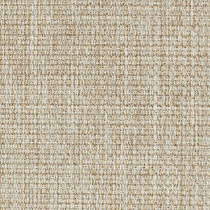 Crypton Fabric Viewpoint Café Au Lait