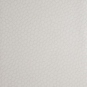 Clarke And Clarke Wallpaper Playa Parchment