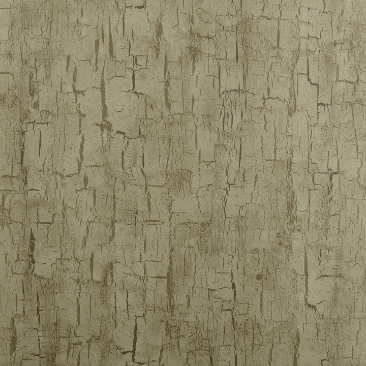 Tree Bark Antique by Clarke And Clarke Designer Wallcovering CLARKE & CLARKE REFLECTIONS WOOD PULP - 74%;BINDER - 13%;POLYESTER - 13% United Kingdom - Horizontal: 20.875 and Vertical: 10.5 20.875 - Swanky Fabrics -