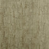 Clarke And Clarke Wallpaper Tree Bark Antique