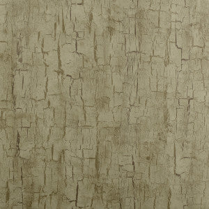 Clarke And Clarke Wallpaper Tree Bark Antique