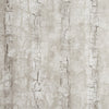 Clarke And Clarke Wallpaper Tree Bark Birch