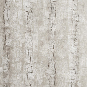 Clarke And Clarke Wallpaper Tree Bark Birch