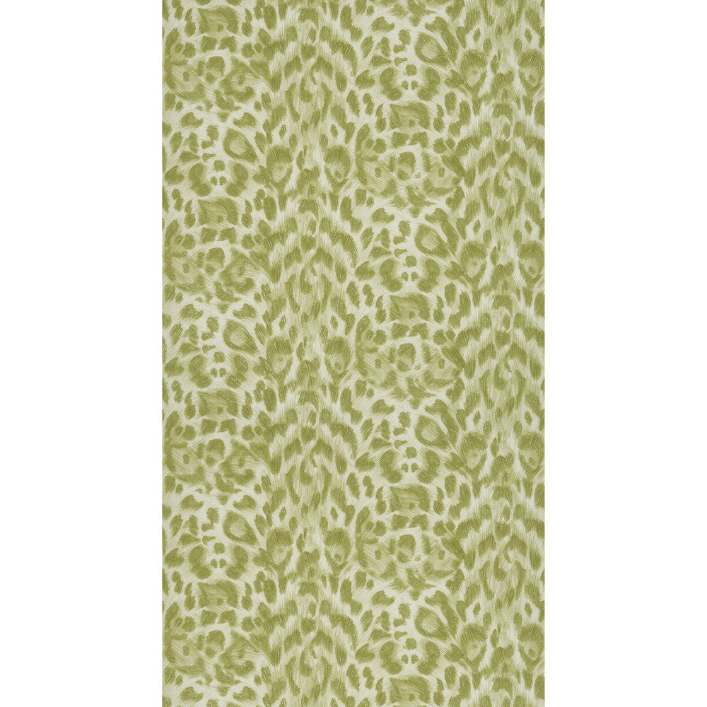 Felis Green by Clarke And Clarke Wallcovering Clarke And Clarke Wallcovering Felis Green Wallcovering WILDERIE BY EMMA J SHIPLEY FOR C&C NON WOVEN - 100% United Kingdom </p><p>Repeat: H: 0, V: 10.24 21 - Fabric Carolina -