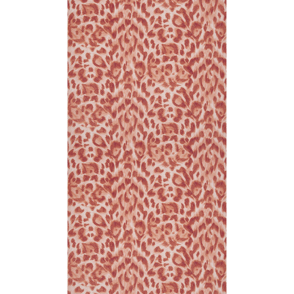 Felis Red/Rose Gold by Clarke And Clarke Wallcovering Clarke And Clarke Wallcovering Felis Red/Rose Gold Wallcovering WILDERIE BY EMMA J SHIPLEY FOR C&C NON WOVEN - 100% United Kingdom </p><p>Repeat: H: 0, V: 10.24 21 - Fabric Carolina -