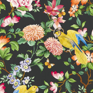 Clarke And Clarke Wallpaper Golden Parrot Wp Noir