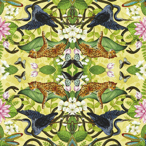 Clarke And Clarke Wallpaper Wonderlust Wp Citron