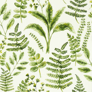 Clarke And Clarke Wallpaper Bracken Forest Wp W0156/02.CAC.0