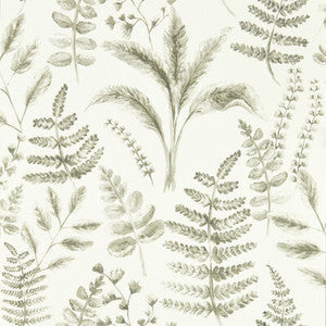 Clarke And Clarke Wallpaper Bracken Natural Wp W0156/03.CAC.0
