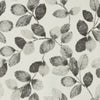 Clarke And Clarke Wallpaper Northia Charcoal Wp W0159/01.CAC.0