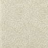 Clarke And Clarke Wallpaper Corallino Ivory Wp W0166/01.CAC.0