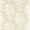 Clarke And Clarke Wallpaper Dipinto Ivory Wp W0177/01.CAC.0