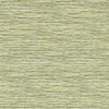 Clarke And Clarke Wallpaper Xan Palm Wp W0192/04.CAC.0