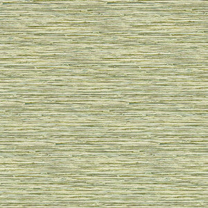 Clarke And Clarke Wallpaper Xan Palm Wp W0192/04.CAC.0