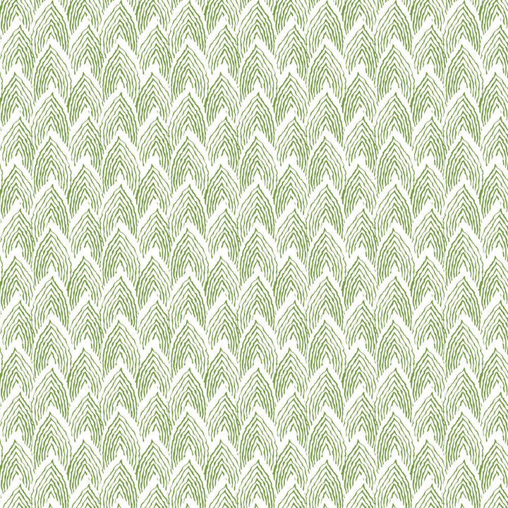 W01Vl-2 Piedmont Grass Wallpaper by Aoc Wallcovering Aoc Wallcovering W01Vl-2 Piedmont Grass WallpaperWallcovering HERITAGE WALLPAPER USA </p><p>Repeat: H: 2.250, V: 1.625 27 in - Fabric Carolina -