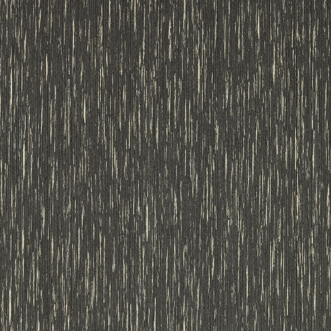 Clarke & Clarke Wallcovering Charcoal Gilver Wp