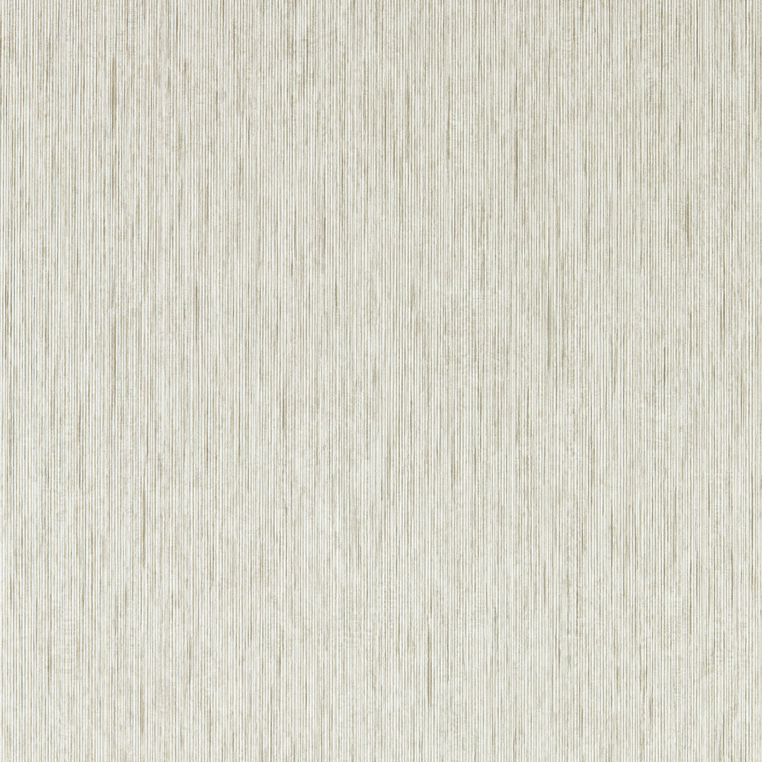 Clarke & Clarke Wallcovering Pebble Wp