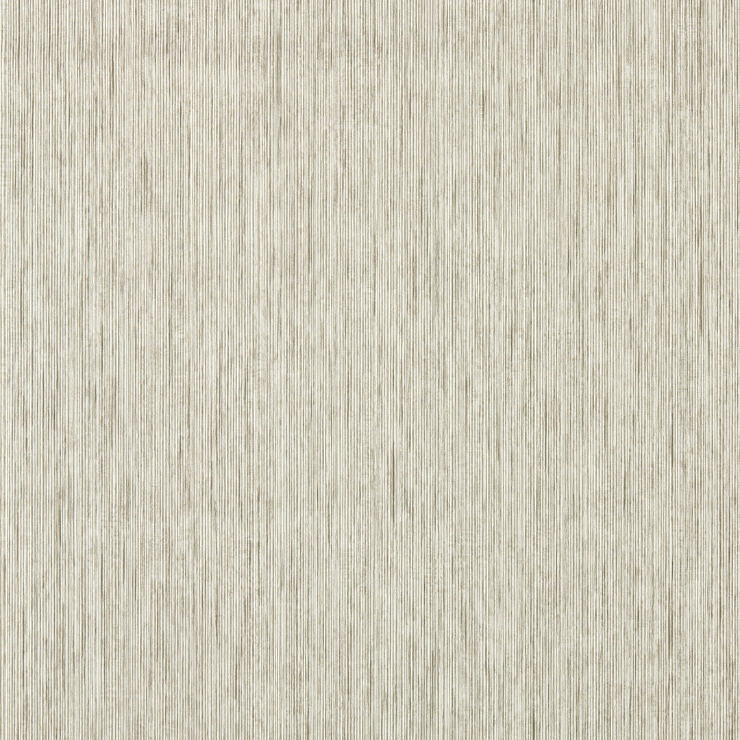 Clarke & Clarke Wallcovering Putty Wp