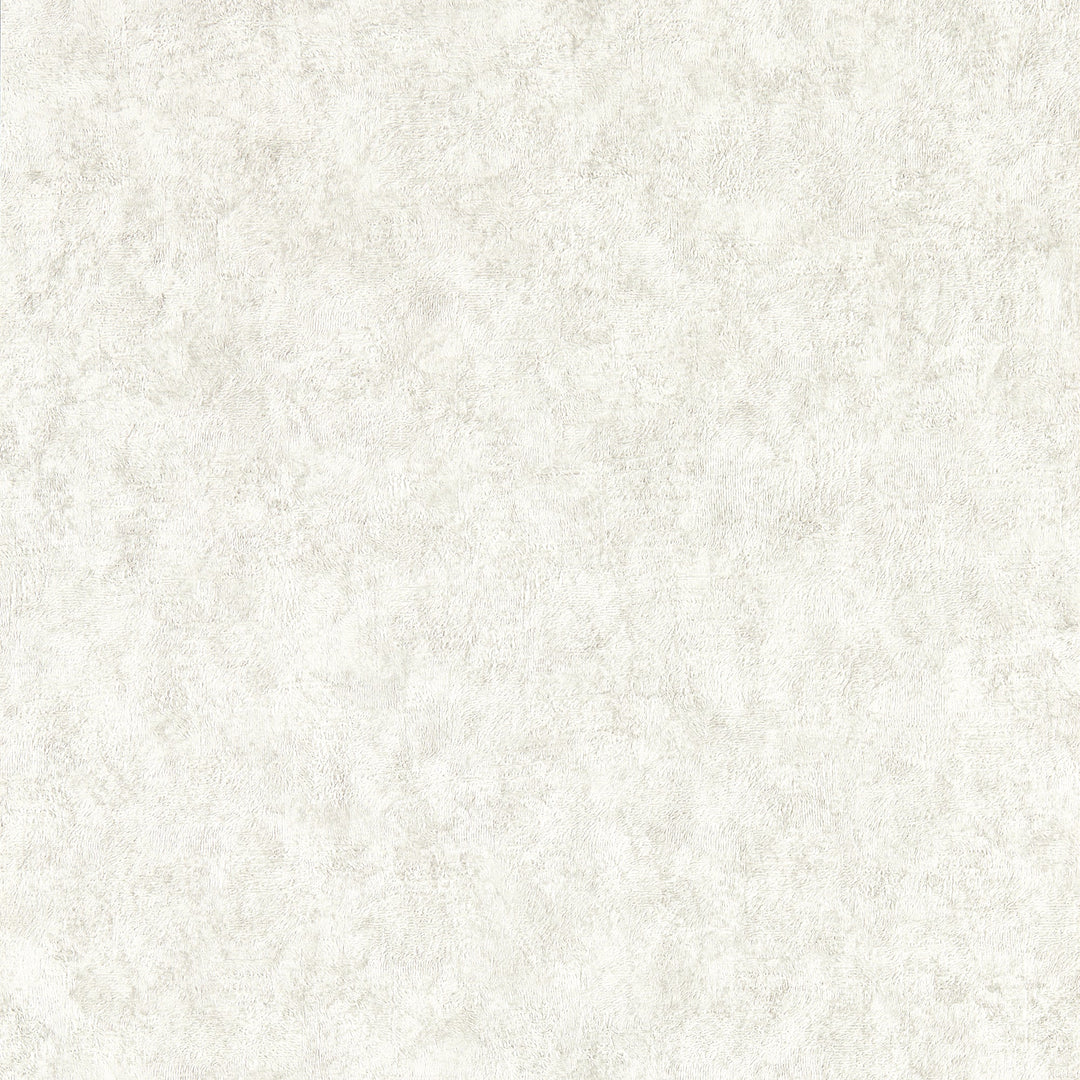 Clarke & Clarke Wallcovering Ash Wp