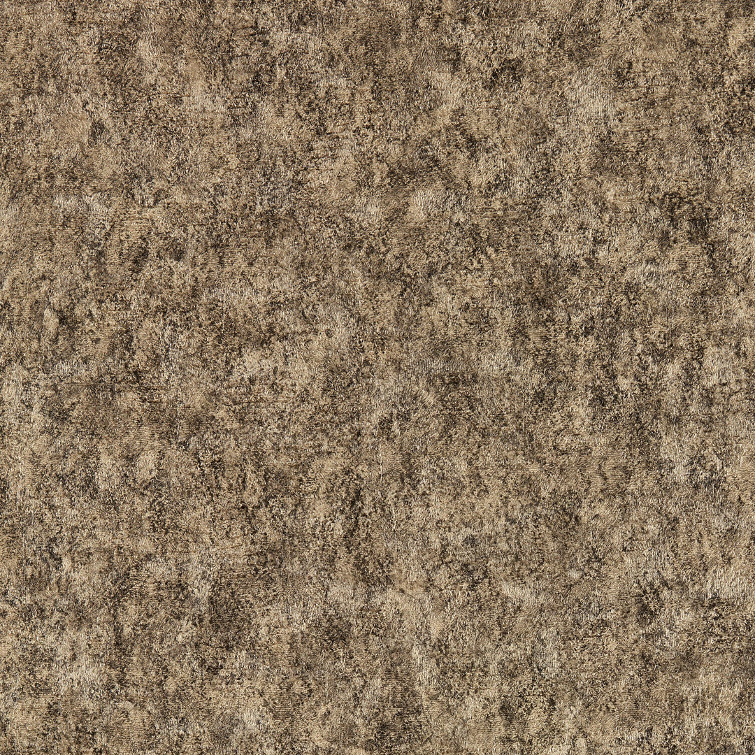 Clarke & Clarke Wallcovering Charcoal Gilver Wp
