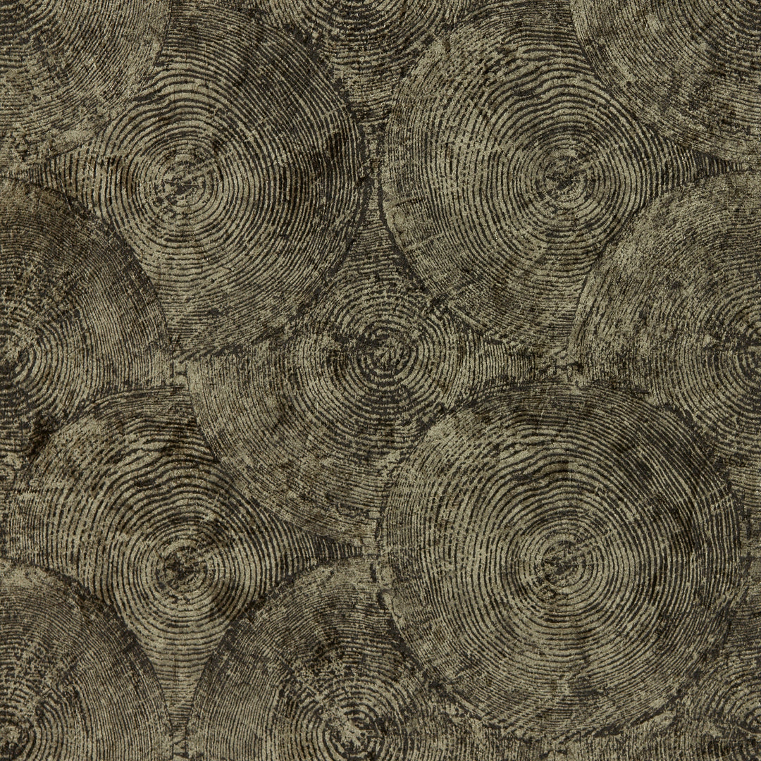 Clarke & Clarke Wallcovering Charcoal Gilver Wp