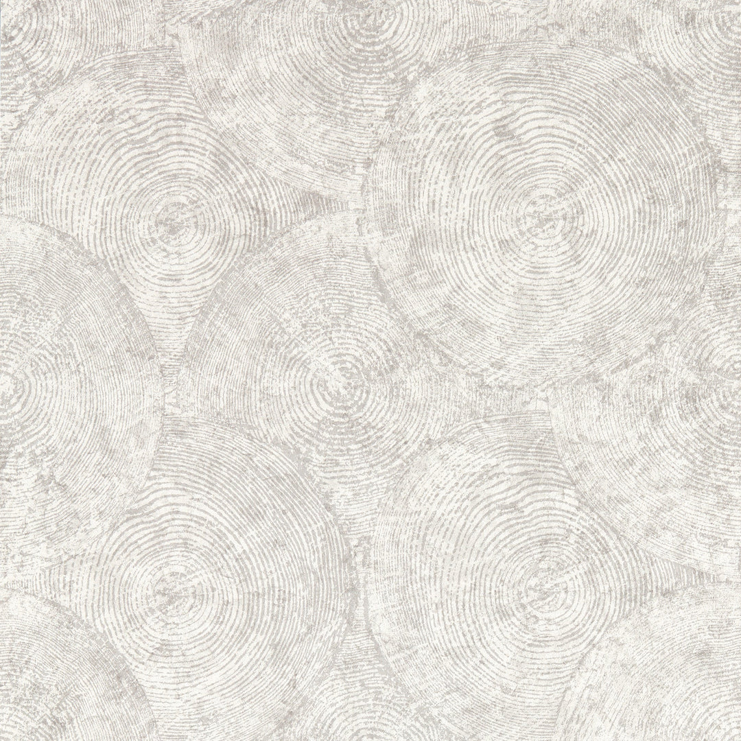 Clarke & Clarke Wallcovering Putty Wp