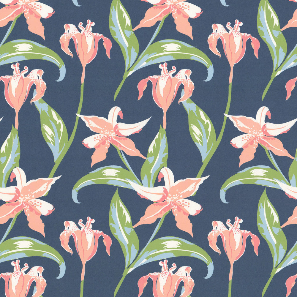 W07Vl Emma 2 Punch by Aoc Wallcovering Aoc Wallcovering W07Vl Emma 2 PunchWallcovering THE ART OF COLOR HERITAGE WALLPAPER II 100%PA USA </p><p>Repeat: H: 9.000, V: 12.000 27 in - Fabric Carolina -