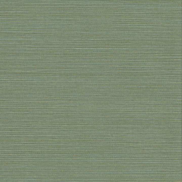 W1014-14 Hadley Fern Wallpaper by Aoc Wallcovering Aoc Wallcovering W1014-14 Hadley Fern WallpaperWallcovering VINYL TEXTURED WALLPAPER 100%OTH USA </p><p>Repeat: H: 0.000, V: 0.000 27 in - Fabric Carolina -