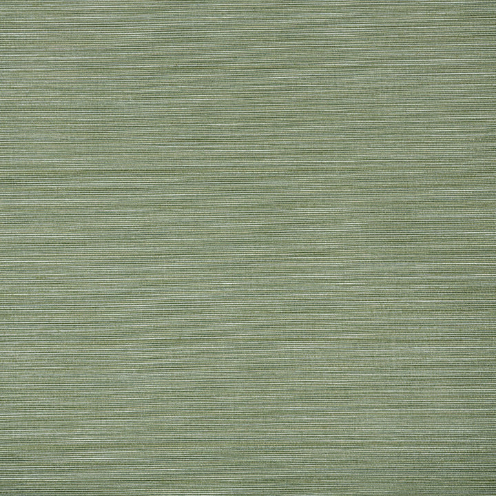 W1014-14 Hadley Fern Wallpaper by Aoc Wallcovering Aoc Wallcovering W1014-14 Hadley Fern WallpaperWallcovering VINYL TEXTURED WALLPAPER USA </p><p>Repeat: H: 0.000, V: 0.000 27 in - Fabric Carolina -