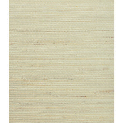 W3047.1116.0 by Kravet Wallcovering Kravet Wallcovering W3047.1116.0Wallcovering GRASSCLOTH III GRASS - 100% China </p><p>Repeat: H: 0, V: 0 36 - Fabric Carolina -