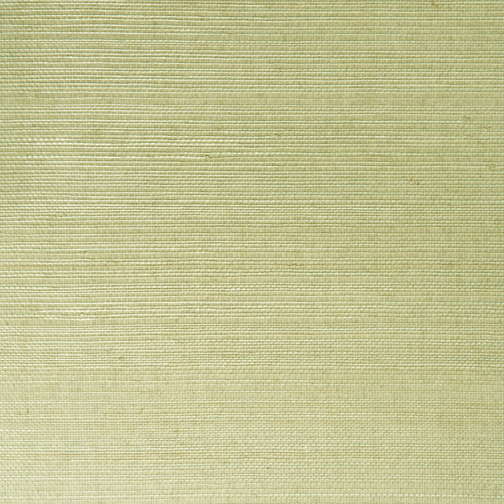 W3205-130 by Kravet Design Designer Wallcovering GRASSCLOTH III GRASS - 100% China - Horizontal: - and Vertical: - 36 - Swanky Fabrics -
