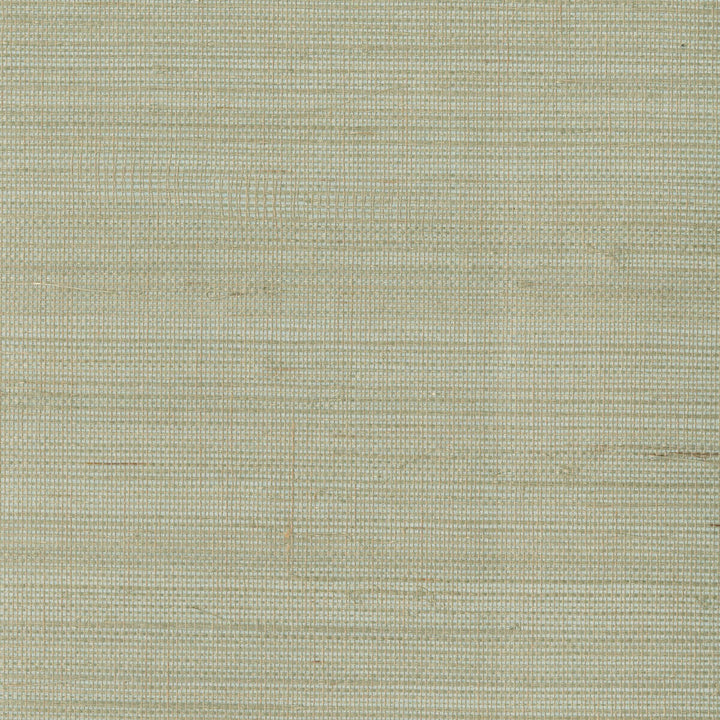 W3287-116 by Kravet Design Designer Wallcovering GRASSCLOTH III GRASS - 100% China Horizontal: and Vertical: 36 - Swanky Fabrics -