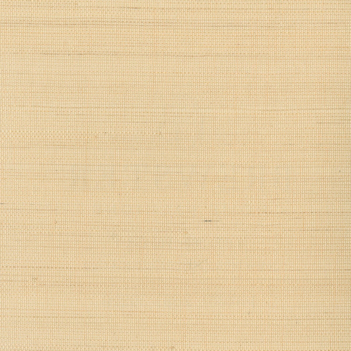 Kravet Design W3291-16 by Kravet Design Wallcovering Kravet Design Wallcovering Kravet Design W3291-16Wallcovering GRASSCLOTH III GRASS - 100% China </p><p>Repeat: H: , V: 36 - Fabric Carolina -