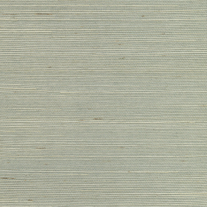 W3454-130 by Kravet Design Designer Wallcovering GRASS - 100% China Horizontal: and Vertical: 36 - Swanky Fabrics -