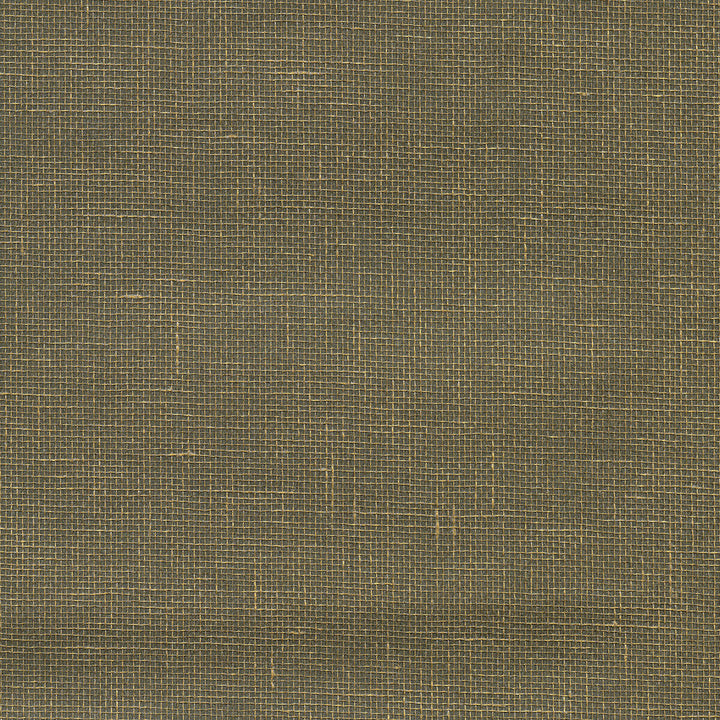 W3458-106 by Kravet Design Designer Wallcovering GRASS - 100% China Horizontal: and Vertical: 36 - Swanky Fabrics -