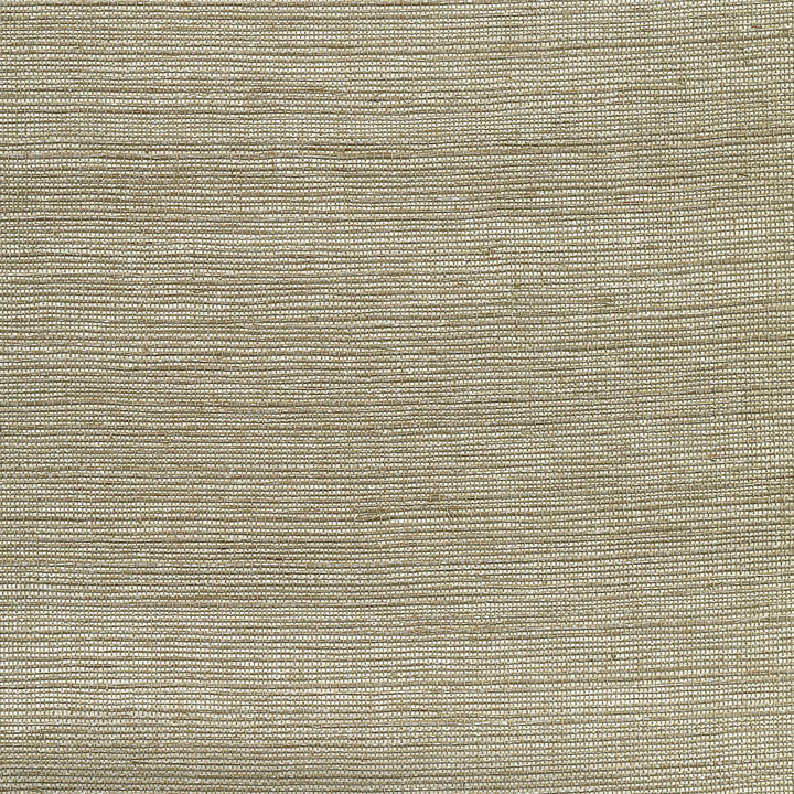 W3462-1611 by Kravet Design Designer Wallcovering GRASS - 100% China Horizontal: and Vertical: 36 - Swanky Fabrics -