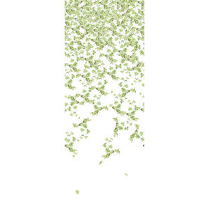 Kravet Wallpaper Falling Ginkgo Summer