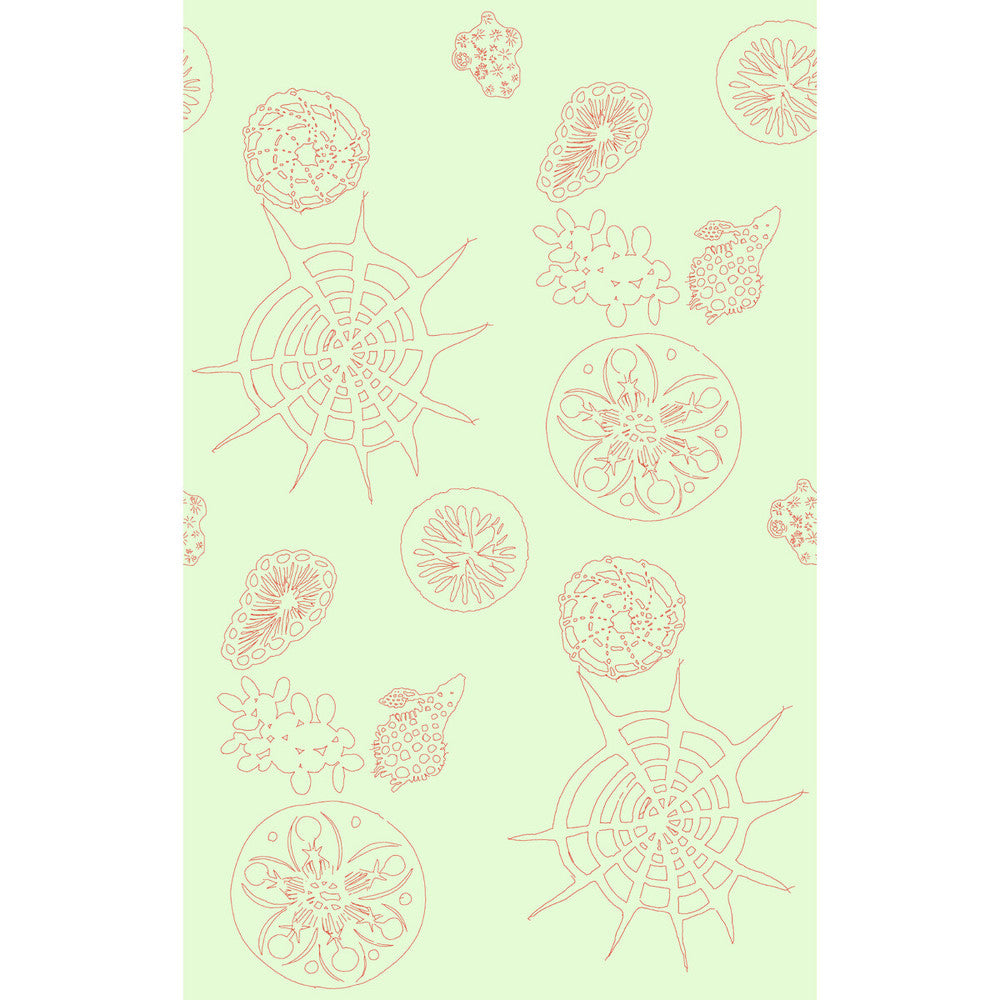Telescopic P Coral Sea by Kravet Couture Wallcovering Kravet Couture Wallcovering Telescopic P Coral SeaWallcovering PAPERSCAPE ARTIST SERIES PAPER - 100% United States </p><p>Repeat: H: 27, V: 72 27 - Fabric Carolina -