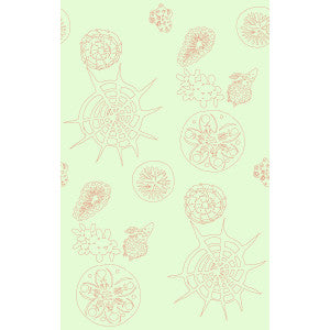 Kravet Wallpaper Telescopic P Coral Sea