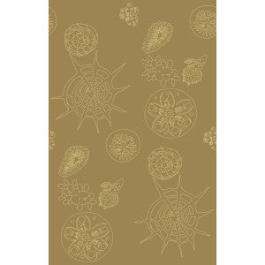 Kravet Wallpaper Telescopic P Sanddollar