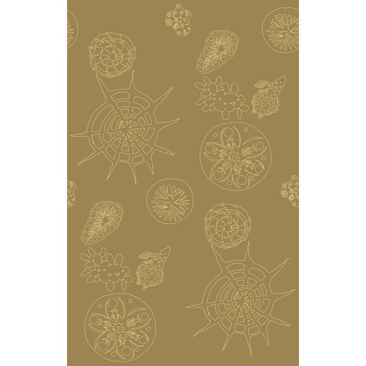 Telescopic P Sanddollar by Kravet Couture Wallcovering Kravet Couture Wallcovering Telescopic P SanddollarWallcovering PAPERSCAPE ARTIST SERIES PAPER - 100% United States </p><p>Repeat: H: 27, V: 72 27 - Fabric Carolina -