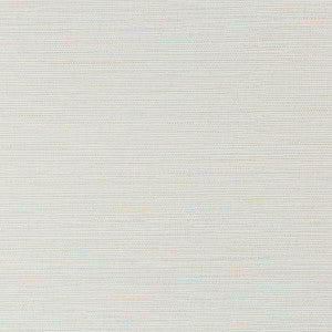 Kravet Wallpaper W3616-316