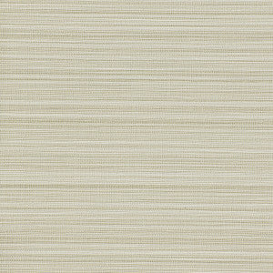 Kravet Wallpaper W3660-106