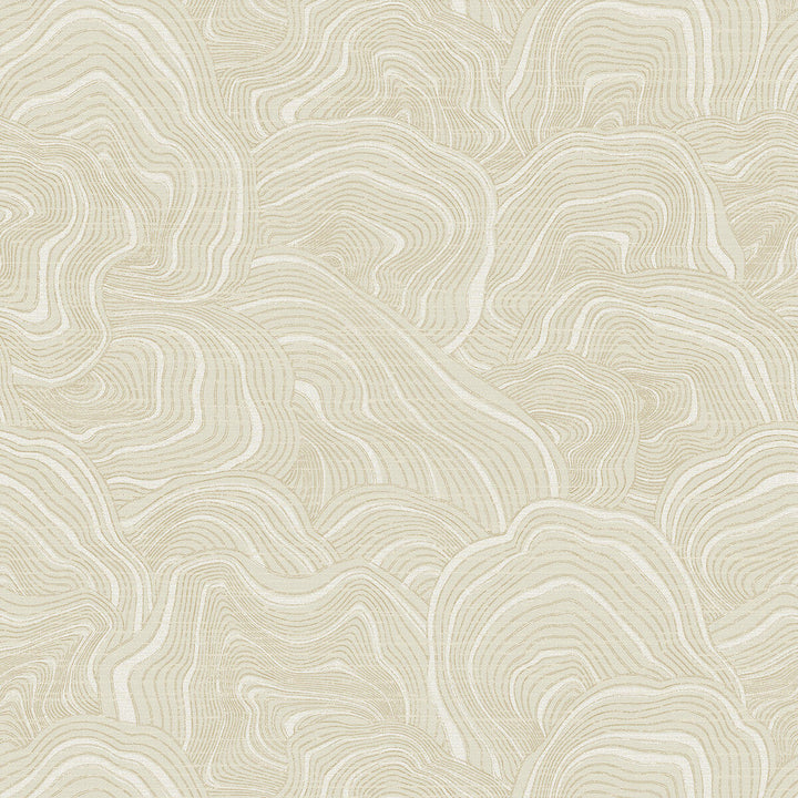 Kravet Design W3719-116 by Kravet Design Wallcovering Kravet Design Wallcovering Kravet Design W3719-116Wallcovering RONALD REDDING PAPER - 100% United States </p><p>Repeat: H: , V: 25.25 27 - Fabric Carolina -