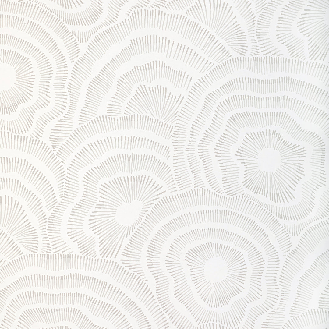 Kravet Couture Fabric Panache - Onyx