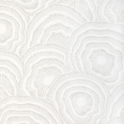 W3823.106.0 by Kravet Wallcovering Kravet Wallcovering W3823.106.0Wallcovering COREY DAMEN JENKINS TRAD NOUVEAU CELLULOSE - 85%;POLYESTER - 15% United States </p><p>Repeat: H: 27, V: 25.25 27 - Fabric Carolina -