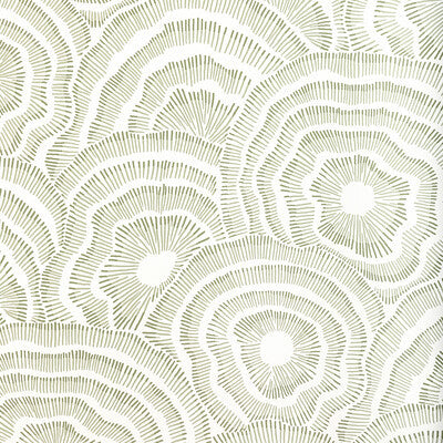 W3823.123.0 by Kravet Wallcovering Kravet Wallcovering W3823.123.0Wallcovering COREY DAMEN JENKINS TRAD NOUVEAU CELLULOSE - 85%;POLYESTER - 15% United States </p><p>Repeat: H: 27, V: 25.25 27 - Fabric Carolina -