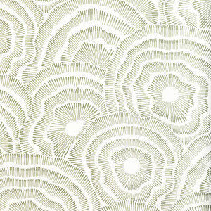 Kravet Wallpaper Panache Wp Leaf