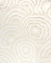 Kravet Couture Wallcovering Champagne