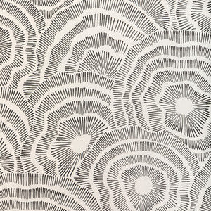 Kravet Wallpaper Panache Wp Noir